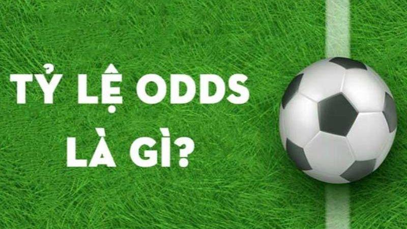 Cá độ Odds là gì? Một trong những thắc mắc được nhiều người chơi quan tâm