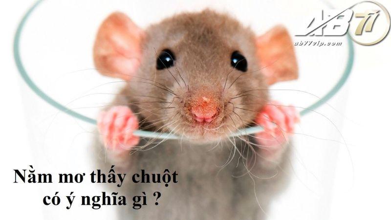 Ý nghĩa của việc nằm mơ thấy chuột